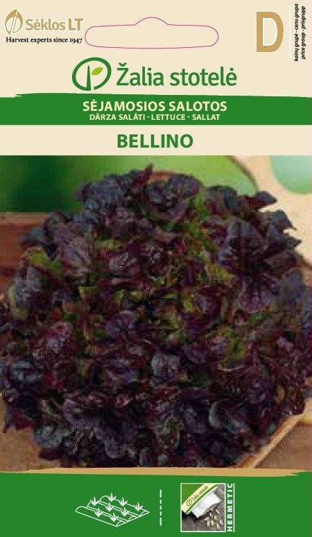 Ekbladssallat 'Bellino'