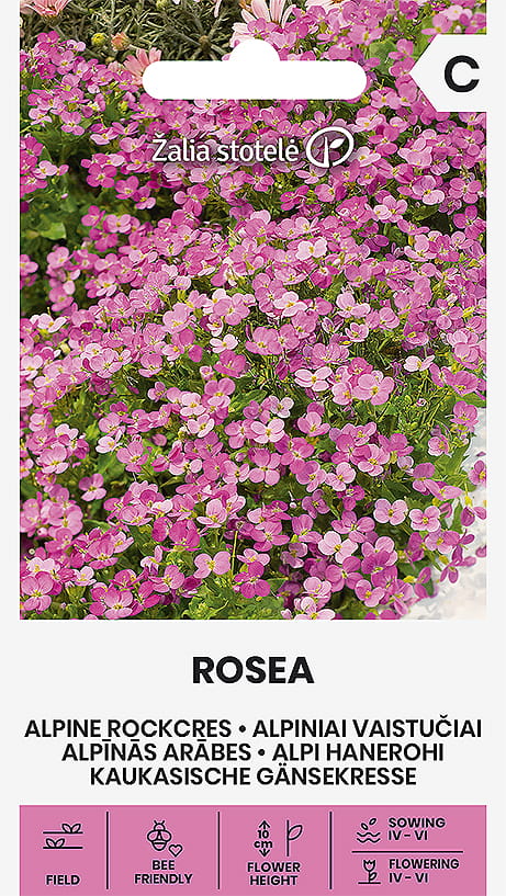 Fjälltrav Rosea Frö