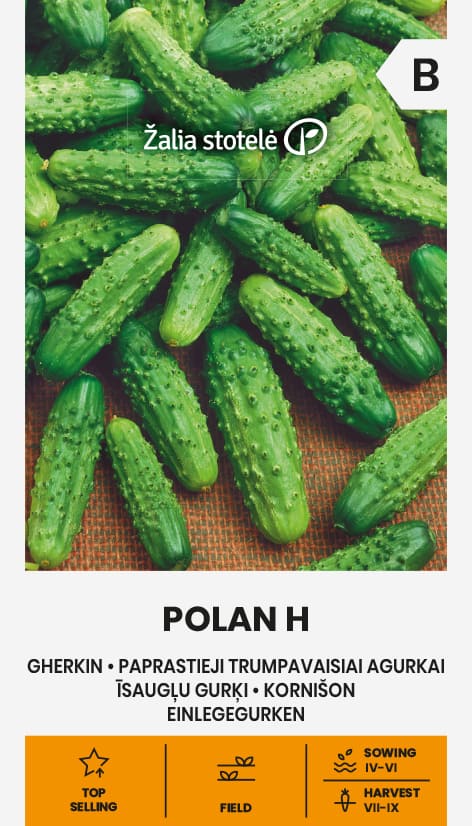 Frilandsgurka Polan Frö