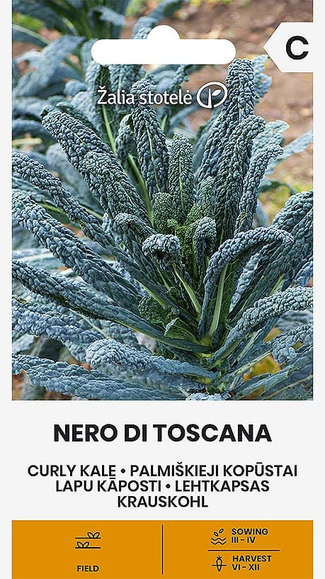 Svartkål Nero Di Toscana Frö