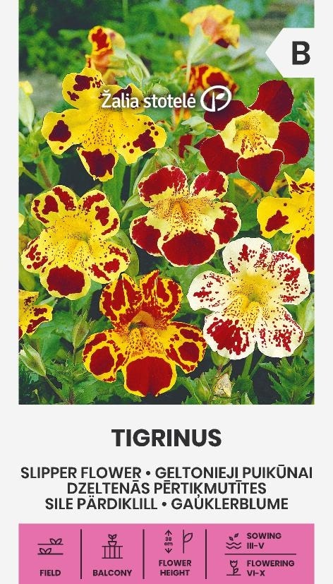 Gyckelblomma Tigrinus Frö
