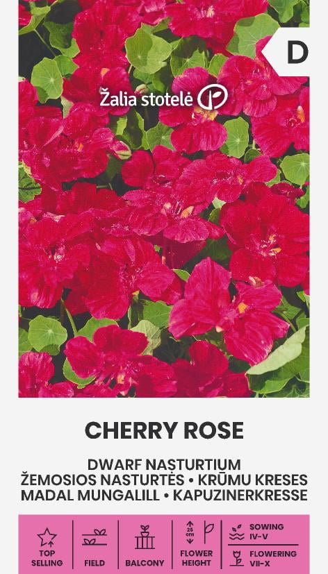 Indiankrasse 'Cherry Rose'