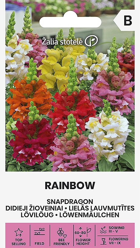 Lejongap Rainbow Mix Frö