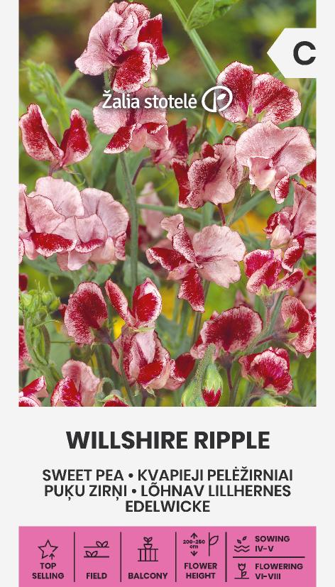 Luktärt Wiltshire Ripple Frö