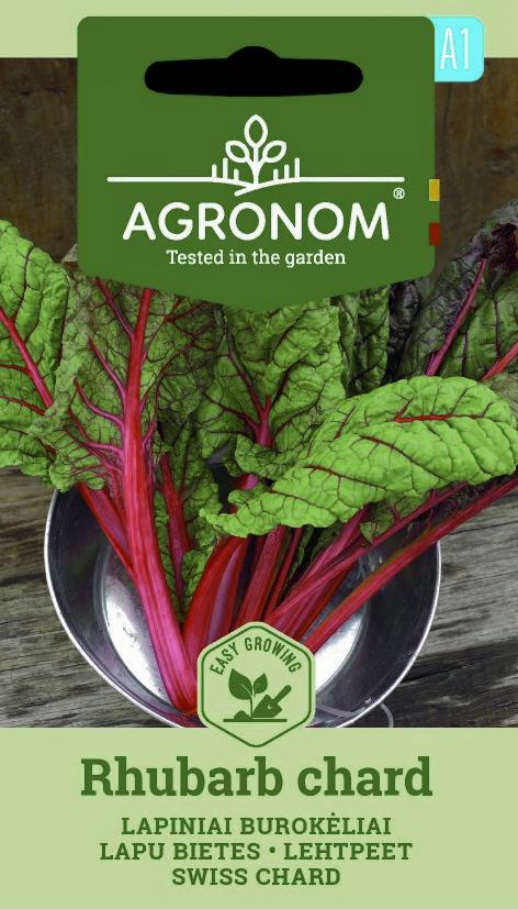 Mangold Rhubarb Chard Frö