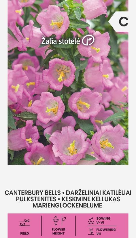 Mariaklocka Champion Pink Frö