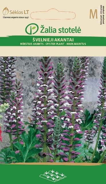 Mjukakantus Frö