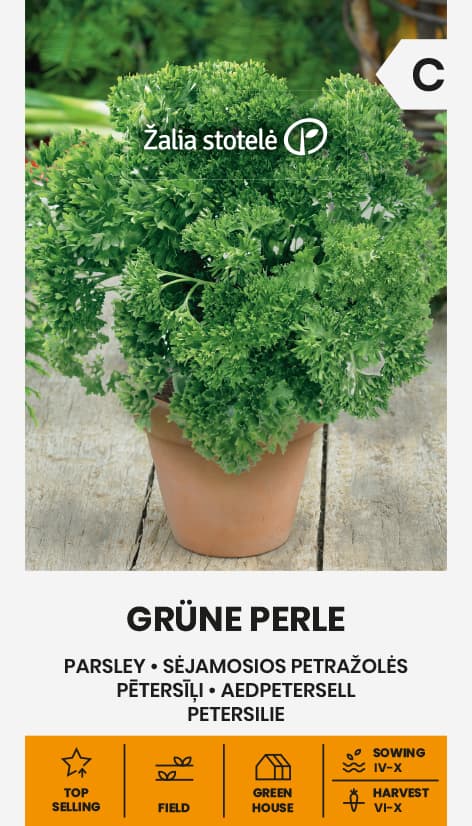 Persilja Krusbladig Grüne Perle Frö