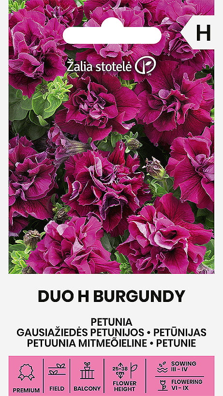 Petunia Double Duo H Burgundy Frö