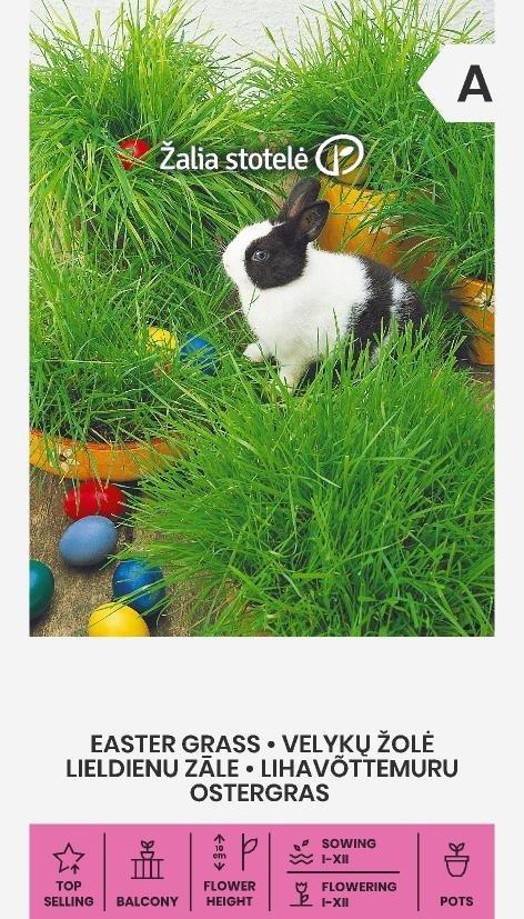 Prydnadsgräs Easter Grass Frö