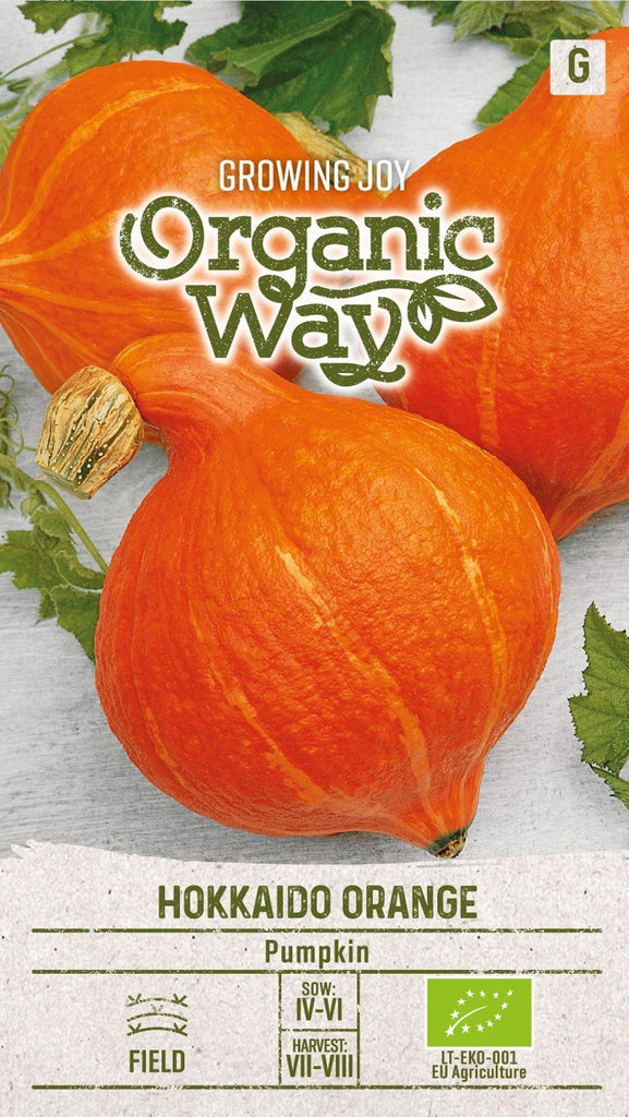 Pumpa Hokkaido Orange Ekologisk Frö