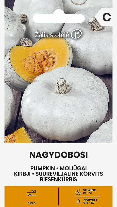 Pumpa Nagydobodi Frö