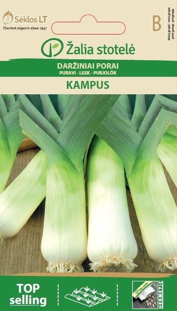 Purjolök 'Kampus'