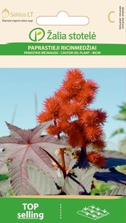 Ricin Carmencita Bright Red FröRicin Carmencita Bright Red Frö