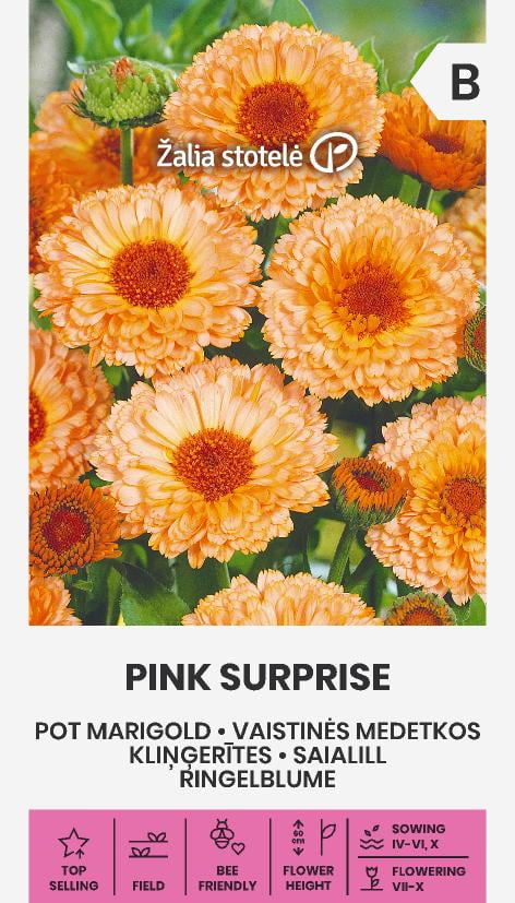 Ringblomma Pink Surprise Frö