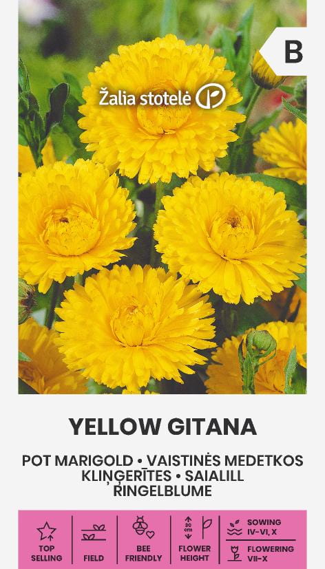 Ringblomma Yellow Gitana Frö