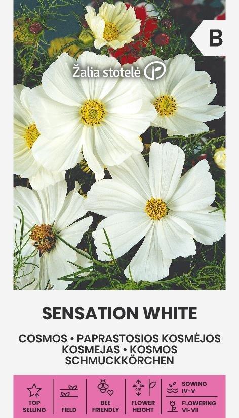 Rosenskära Sensation White Frö