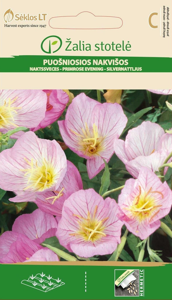 Silvernattljus Frö