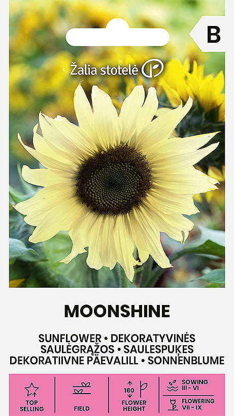 Solros Moonshine Frö
