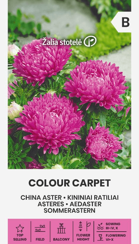 Sommaraster Colour Carpet Pink Frö