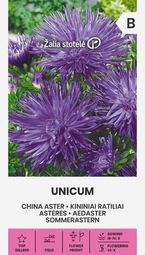 Sommaraster Unicum Blue Frö