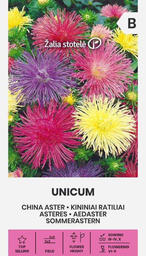 Sommaraster 'Unicum Mix'