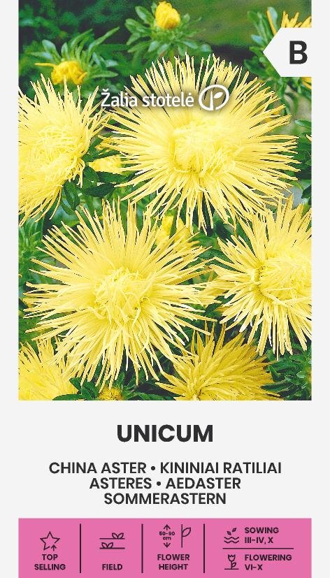 Sommaraster Unicum Yellow Frö