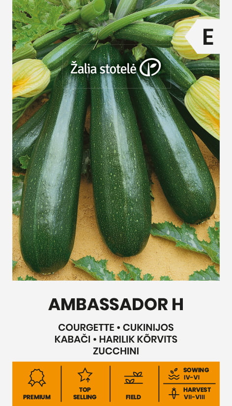 Squash Ambassador Frö