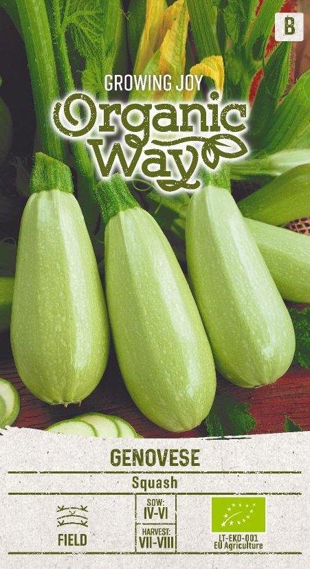 Squash Genovese Ekologisk Frö