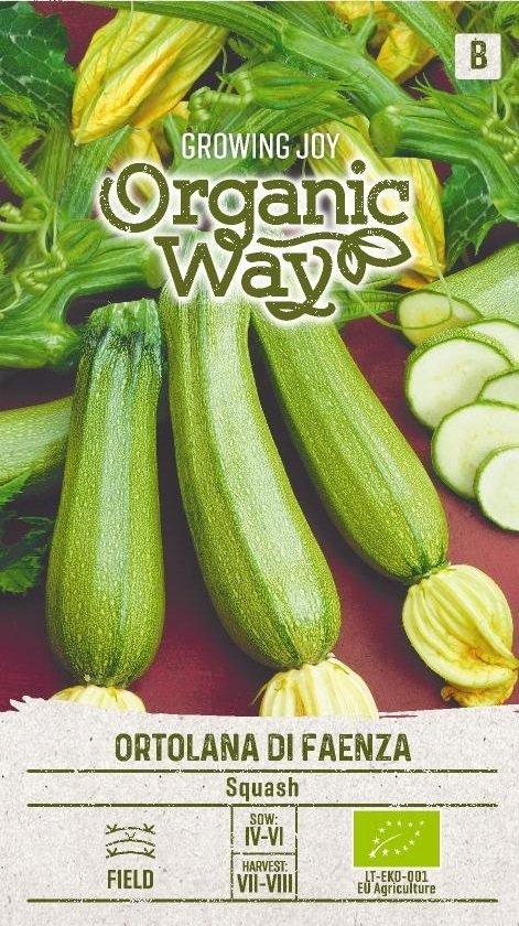 Squash Ortolana Di Faenza Ekologisk Frö