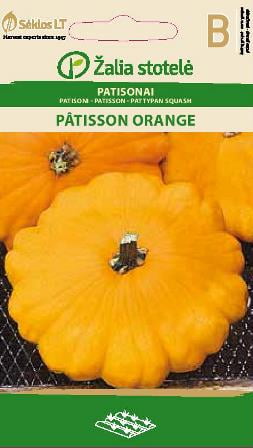 Squash Pâtisson Orange Frö