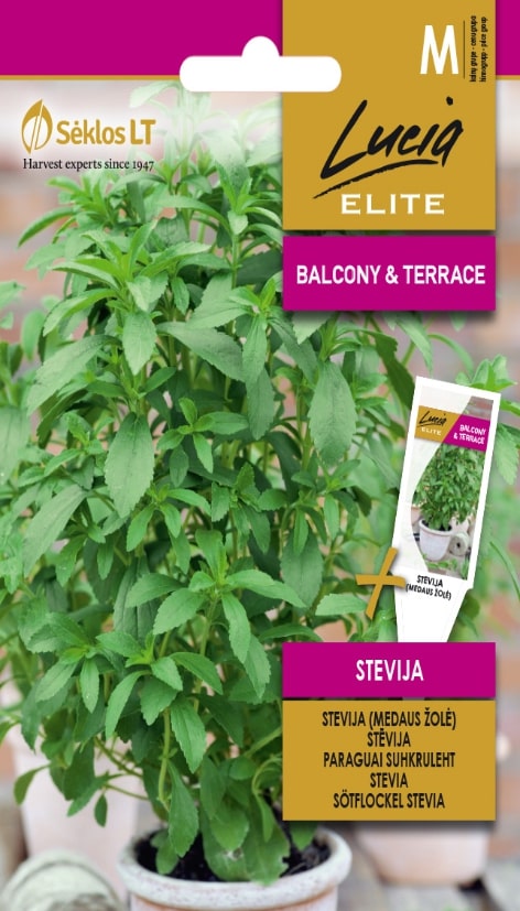 Stevia Frö