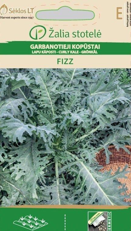 Svartkål Fizz Frö