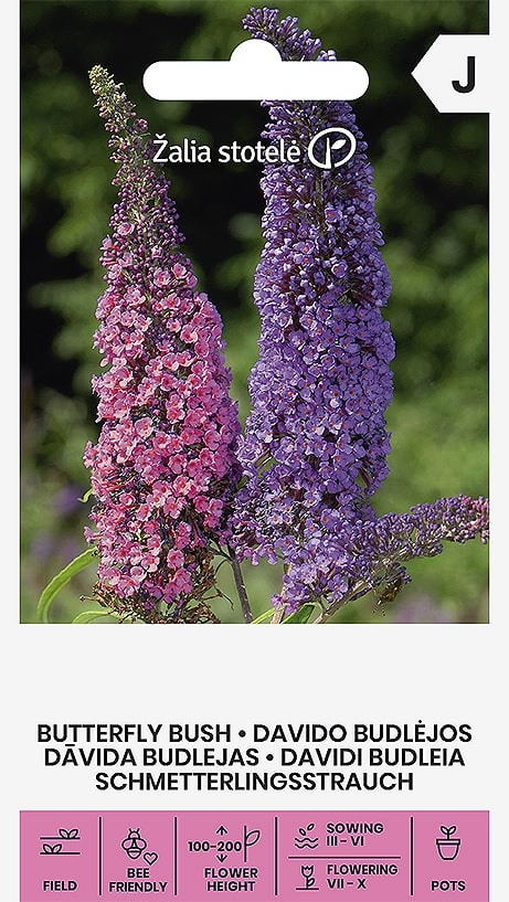Syrenbuddleja Frö