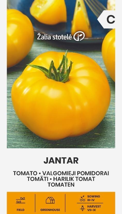 Tomat Jantar Frö