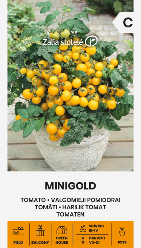 Tomat Minigold Frö