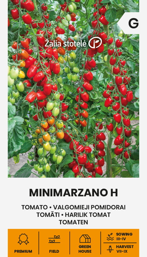 Tomat Minimarzano Frö