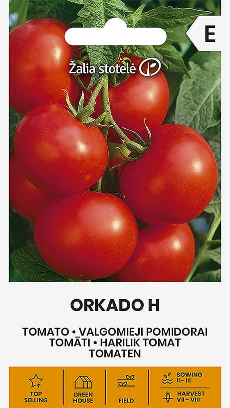 Tomat 'Orkado'