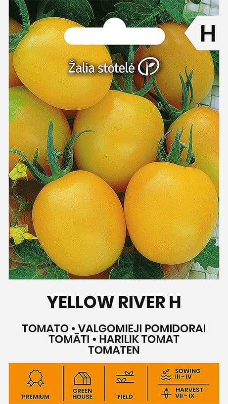 Tomat Yellow River Frö