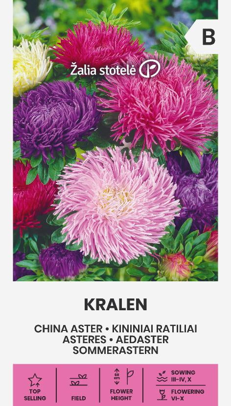 Trädgårdsaster 'Kralen'