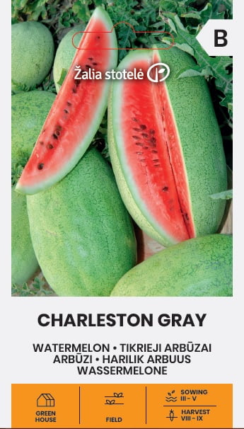 Vattenmelon Charleston Gray Frö
