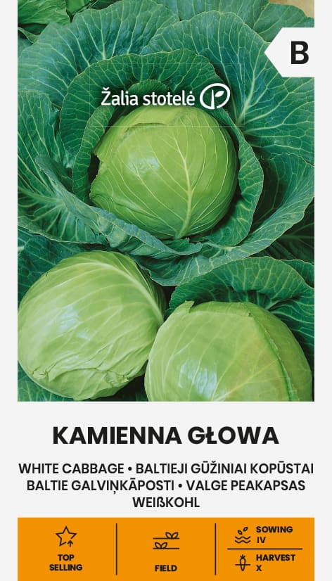 Vitkål Kamienna Głowa Frö